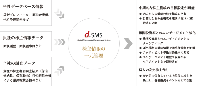 DSMSの概要